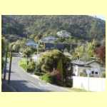 NZ5207.jpg